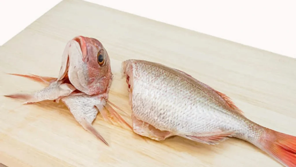 Fins and Head Trimming: Separating Stomach from Fillet