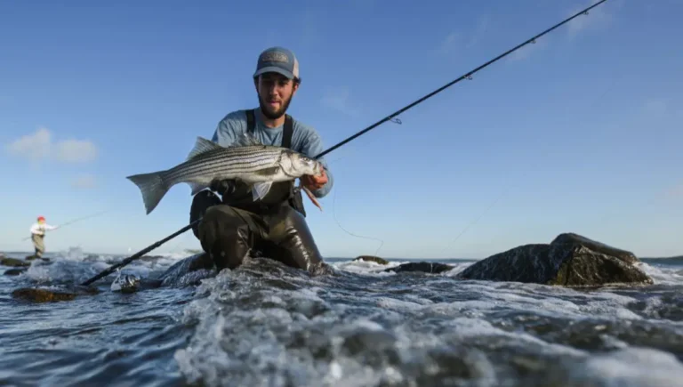 What is the best pound test for surf fishing in 2024?