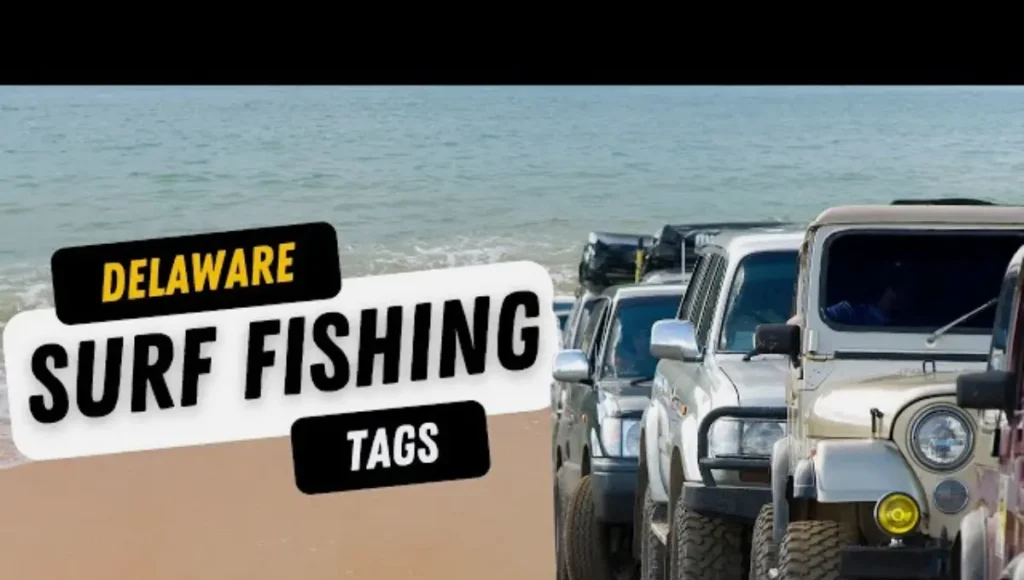 Delaware Surf Fishing Tag
