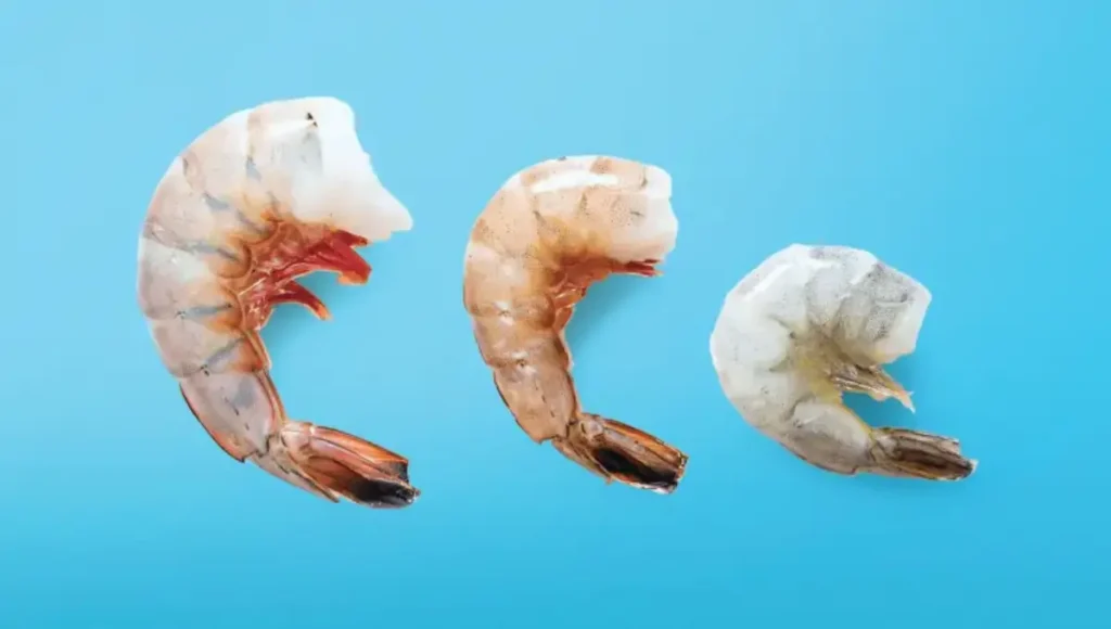 Choosing the Right Frozen Shrimp