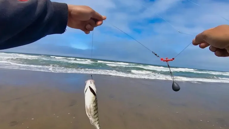 What Size Weight Should I Use For Surf Fishing?