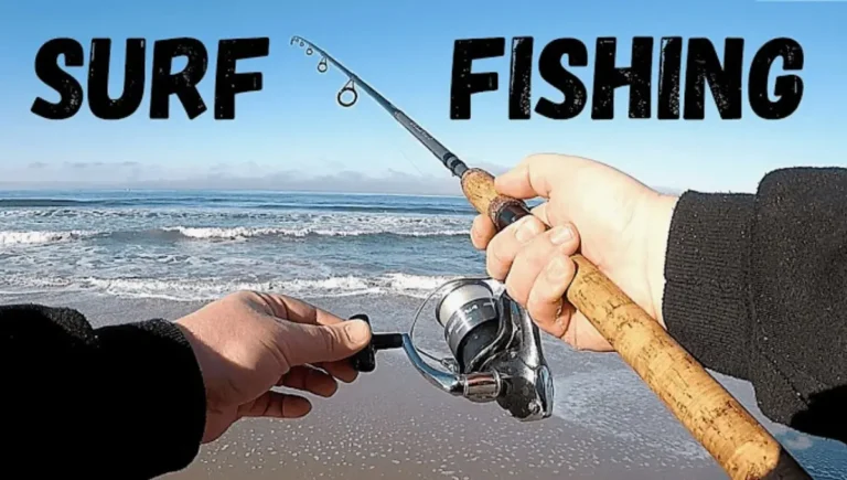 What LB Test is Best for Surf Fishing in 2024