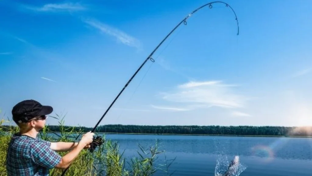 The Best-Braided Line for Surf Fishing