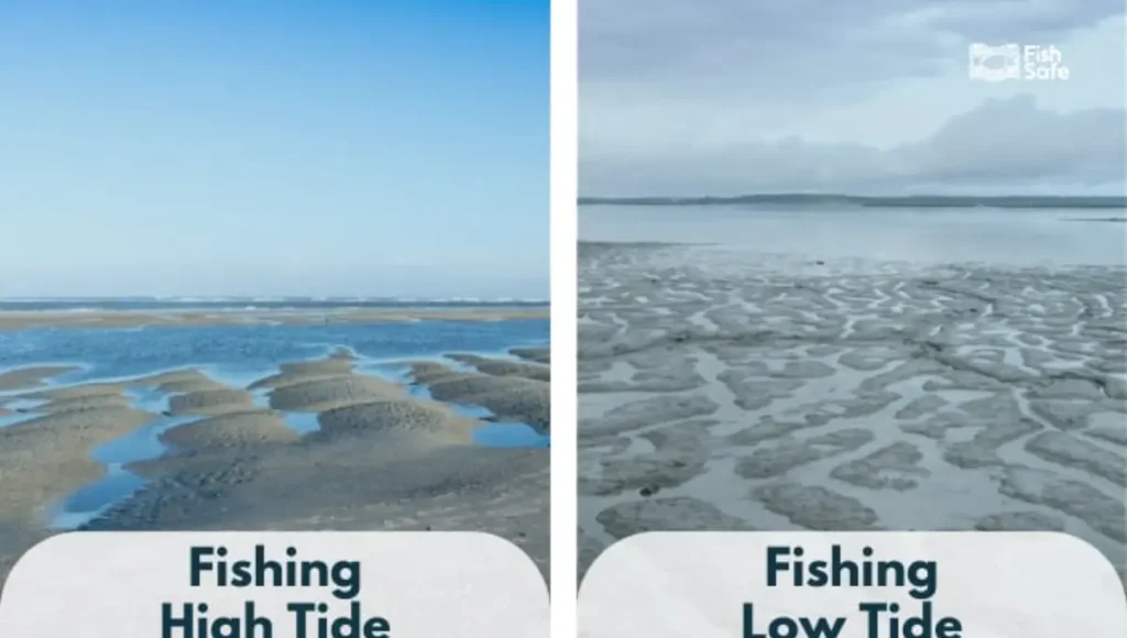 Surf Fishing Strategies for Low Tide and High Tide