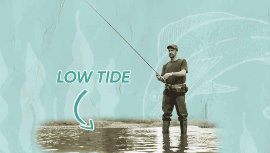 Is it worth fishing at low tide?