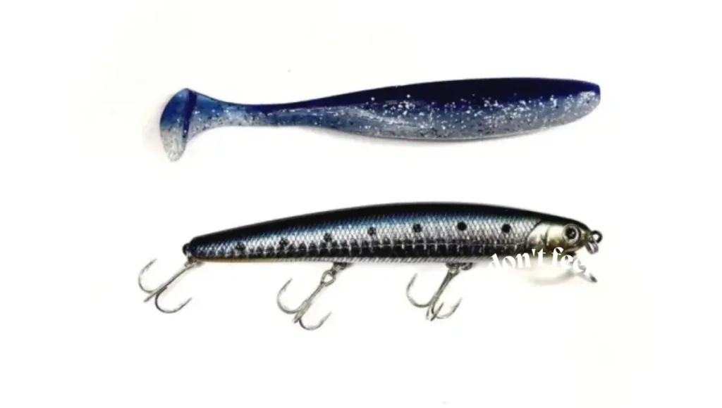 What is the best bait for surf fishing?