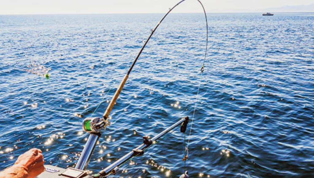 Selecting Appropriate Sinkers for Your Surf Fishing Expedition