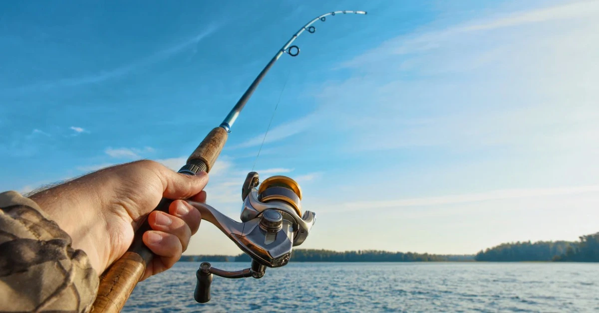 Fishing Basics – Everything A Beginner Should Know About Fishing