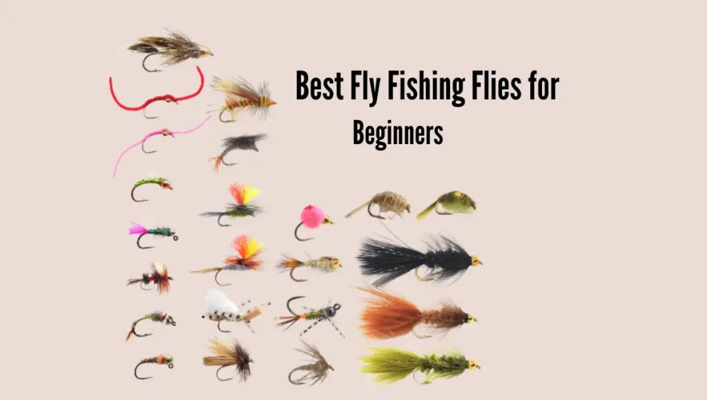 Best Fly Fishing Flies for Beginners
