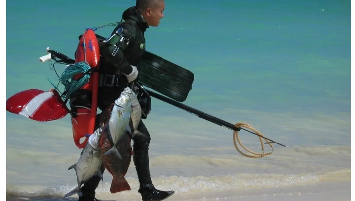 How To Get Into Spearfishing – Learn Here