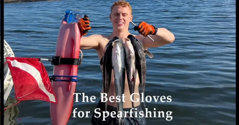 The Best Spearfishing Gloves