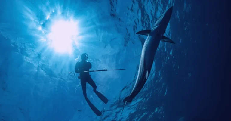 How to Go Spearfishing and Be Safe and Responsible