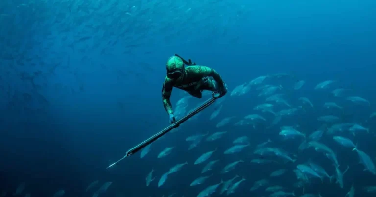 Spearfishing Equipment List: Everything You Need to Get Started