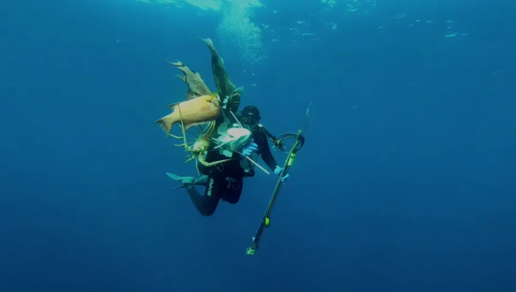 How does a spearfishing powerhead work?
