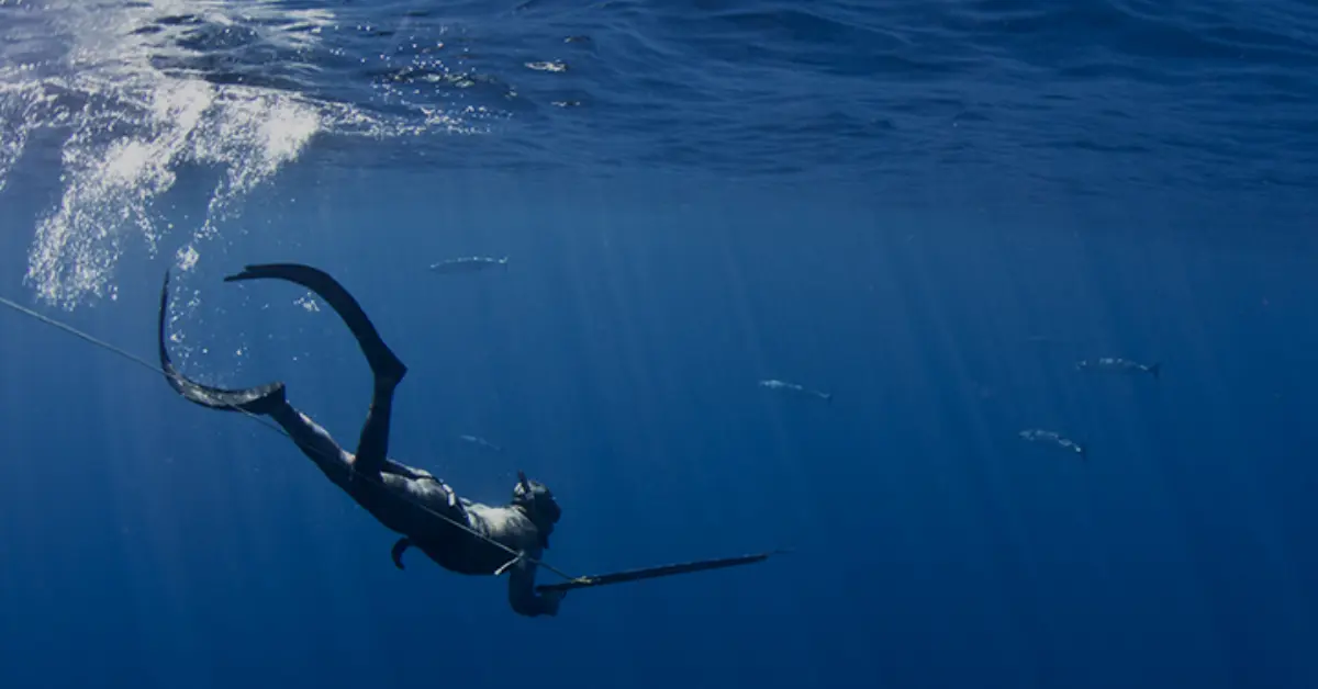 Spearfishing from Shore: How You Can Get Started The Right Way