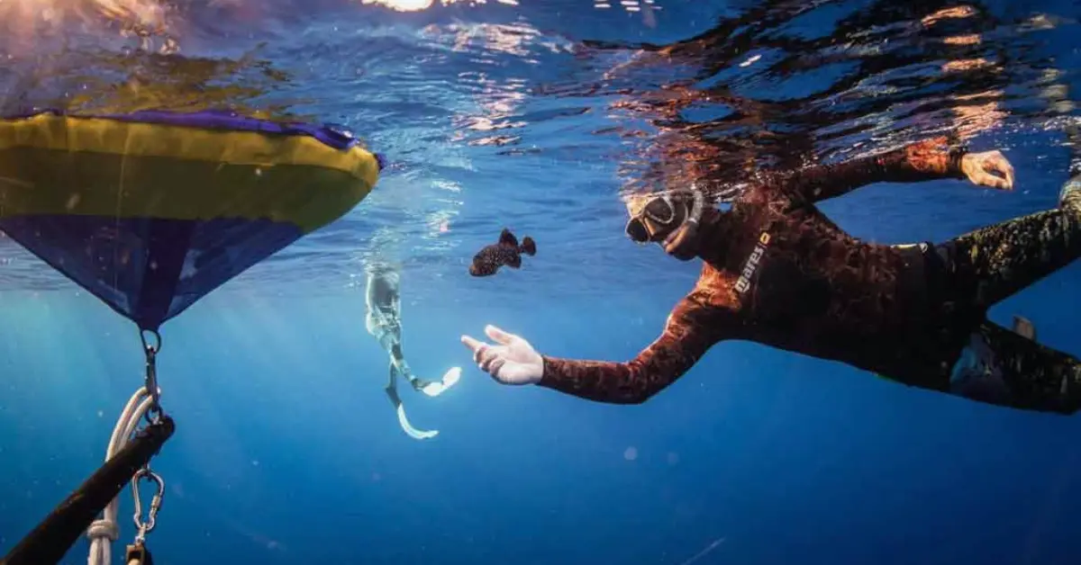 How to Go Spearfishing in Hawaii: The Complete Guide for 2024