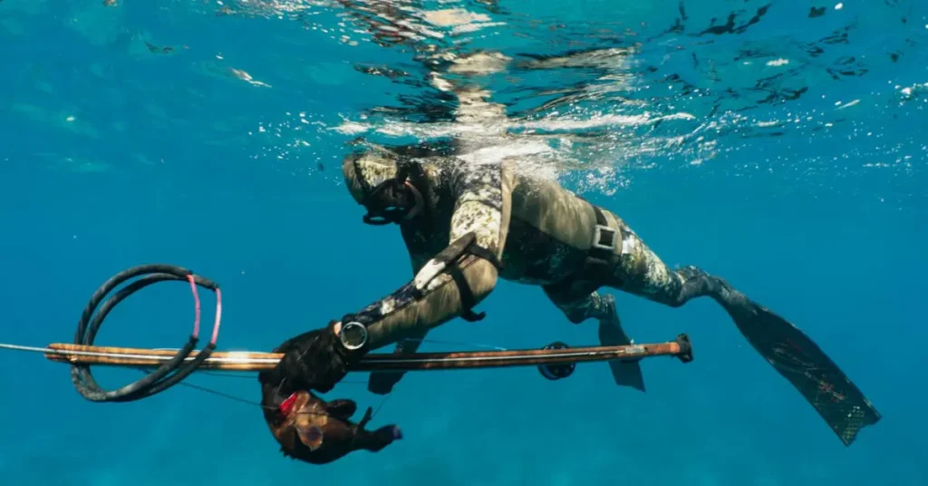 What gear do I need to go spearfishing?