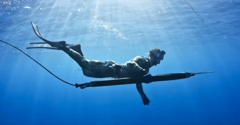 The Best Spearfishing Wetsuit to Buy in 2024