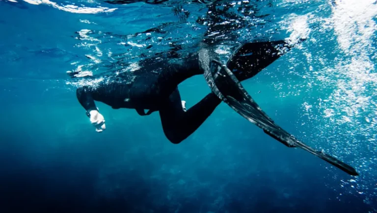 Understand the Different Types of Spearfishing Fins